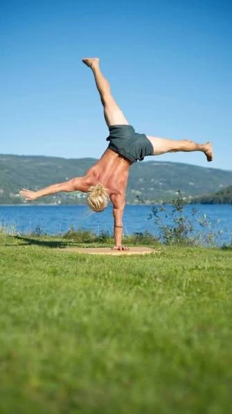 calisthenics skills