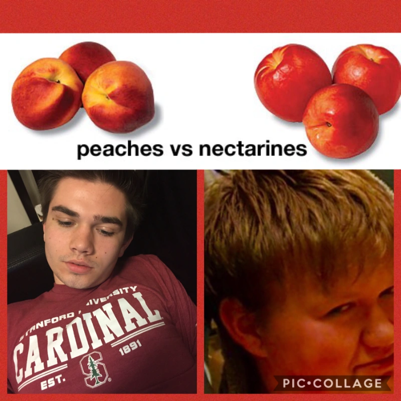 Comparing Apples to Oranges