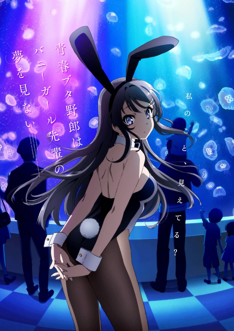 Bunny Girl Senpai Characters