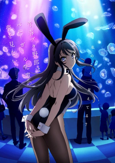 Bunny Girl Senpai Characters